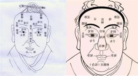 面有肉 面相